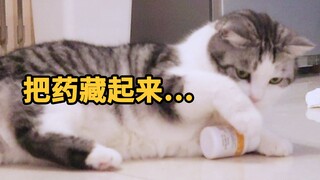 猫的伎俩其实很容易看穿…