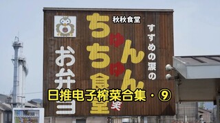 逛日推收割的电子榨菜合集·9