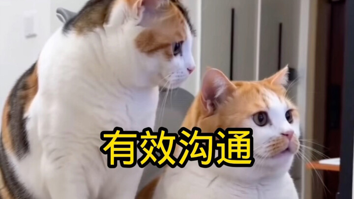 Giao tiếp hiệu quả