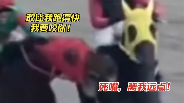 Oh my, this is the real world Uma Musume: Pretty Derby