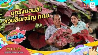 บุกรังบอนสี! สวนชื่นเจริญ กทม. | เรื่องเด็ดเอ็ดตะโร |  29 ก.ค.67 (3/3)