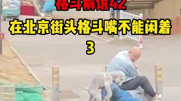 42.在北京街头格斗嘴不能闲着3