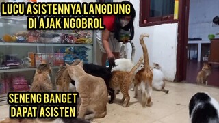 Alhamdulillah Momen Bahagia Saat Kucing Cats Lovers tv Seneng Banget Mempunyai Asisten pada Girang.!