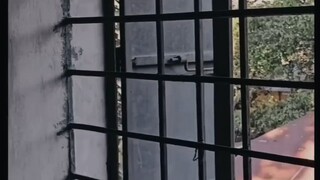 খালি গলায় গান