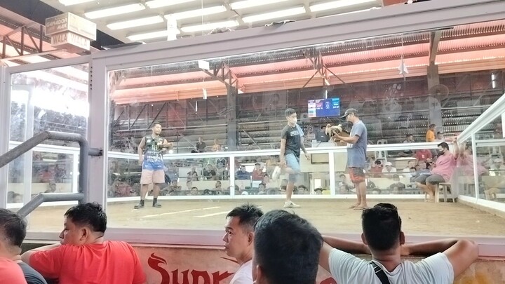 Lusiana Colisium win no scratch