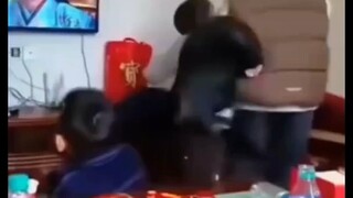 This part about musicality~