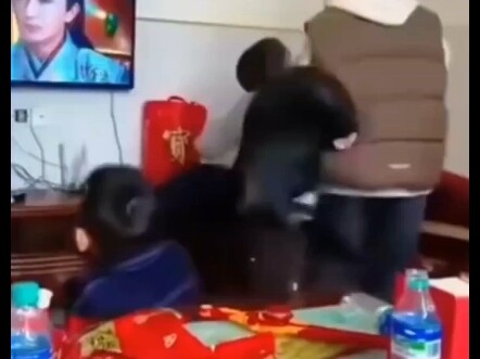 This part about musicality~