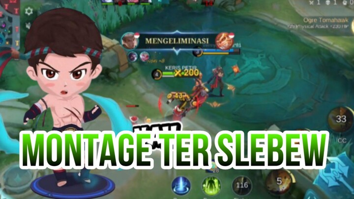MONTAGE TER SLEBEW