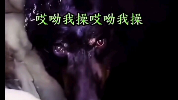 الأخ الشمالي الشرقي تباهى طوال الطريق، وكاد يتحول إلى عميل مُخدَّر ينتظر طلبيته في المخزن!