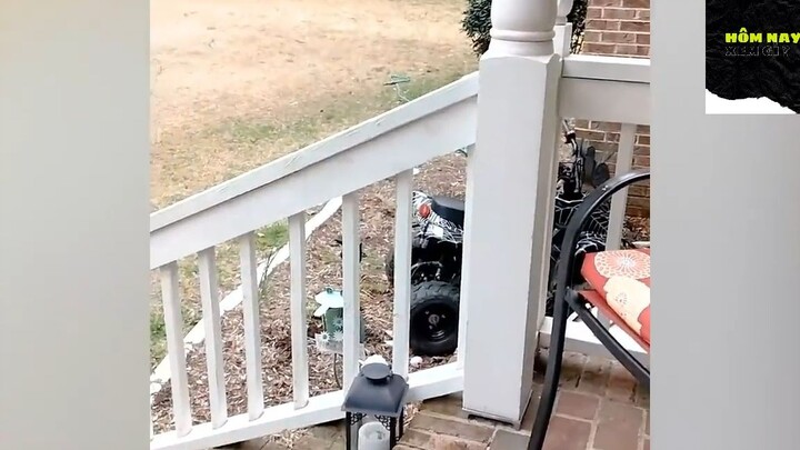 Cười mỗi ngày cùng tôi ! #videohaihuoc