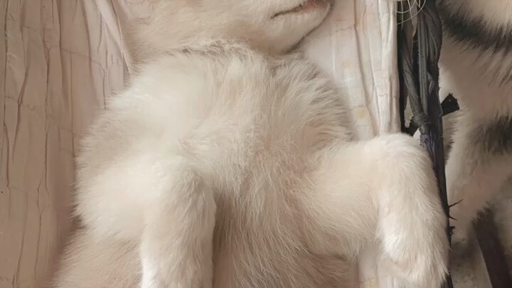 พี่น้องรักกัน