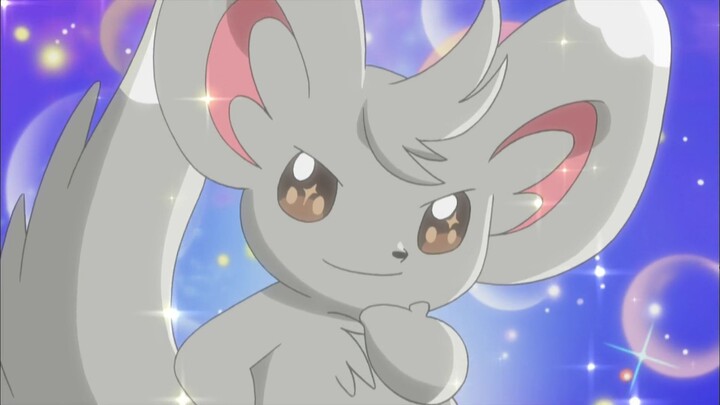 Minccino Using Attract - Pokemon Black And White