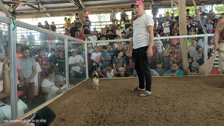 poyloyTari tutorial #7 win