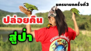 VLOG: ปล่อยนกแก้วคืนสู่ป่า พานกเที่ยวปล่อยบินอิสระ นครนายก ครั้งที่3