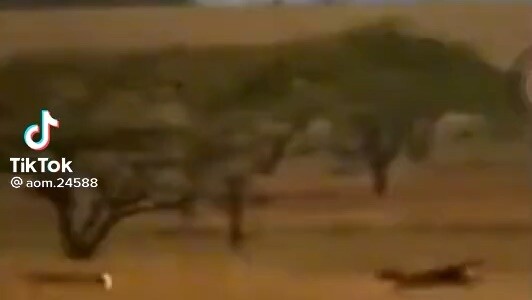 เมื่อเธอขอดูโทรศัพท์