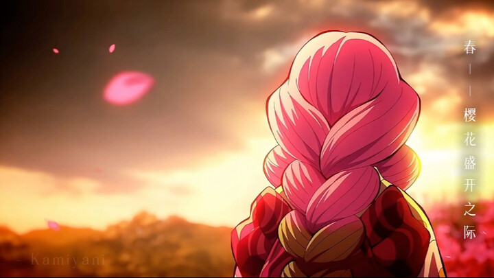 "Spring, Summer, Autumn, and Winter Through My Eyes"