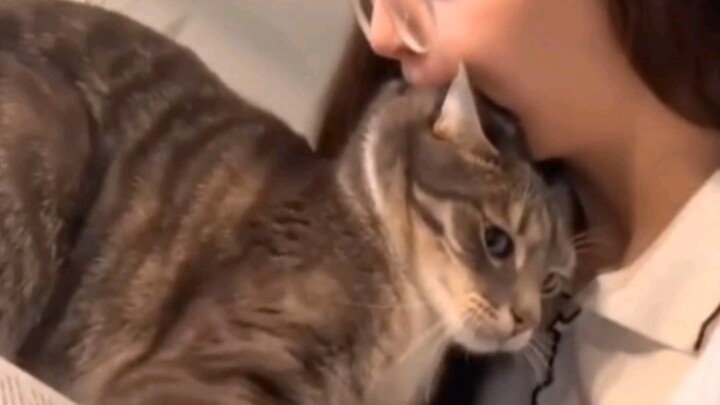 قطة وزنها 10 جين، لكن طبعها معاند بوزن 9.9 جين!!!