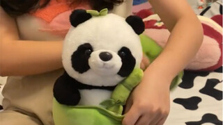 看看大家的床搭子……