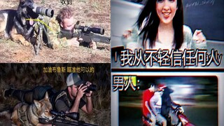 男生和女生眼中是两个世界？加油布鲁斯，你能行！