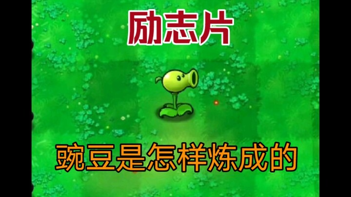 Kamu hanyalah Seorang Penembak Kacang Biasa, Tapi Kamu Tidak Akan Selalu Biasa