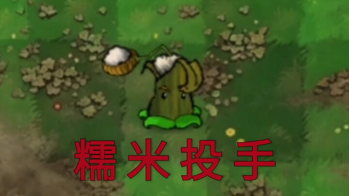 Scary New Plant: Sticky Rice Pitcher