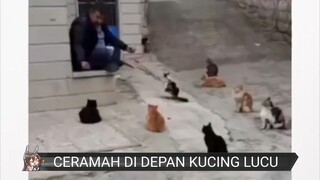 lambat upload tapi gak papa lah | ceramah di depan kucing oren lucu 🐱