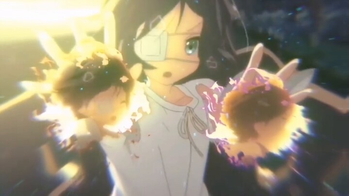 Làm sao xe cảnh sát không đuổi kịp xe đạp được nhỉ? Chỉ là cả thế giới đang giúp họ thôi✪ω✪