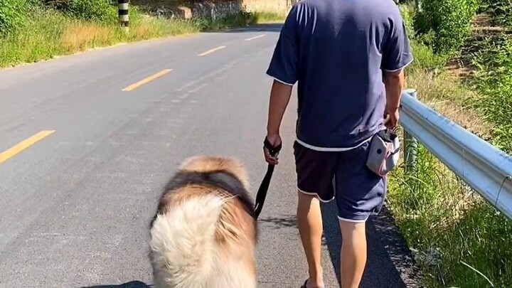 Went for a walk and got petted by people of all ages!