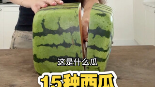 15种西瓜