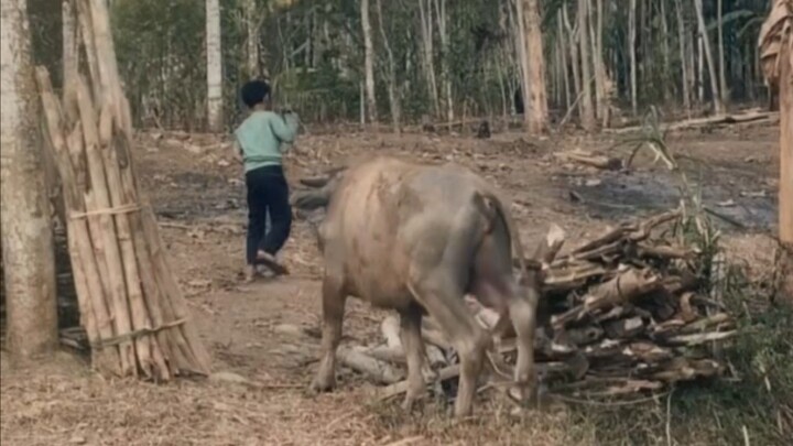 Ada yang pernah merasakan kenangan ini bersama ayah🥹#nostalgia #jadul #masakecil #kenangan #jejakdu