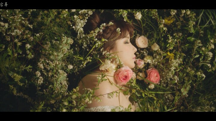 朴春 (Feat. Sandara Park) Spring MV 中韩字幕 @神迹出品