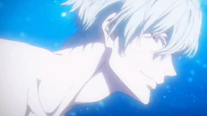 Free! ! ! Albert! ! ! No one would reject a handsome guy with white hair and purple pupils, right?