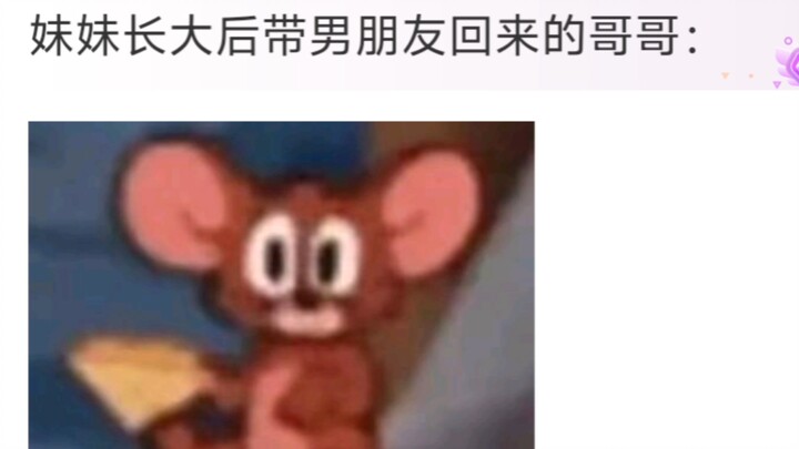 Khi hai anh trai lần đầu gặp em gái mới chào đời