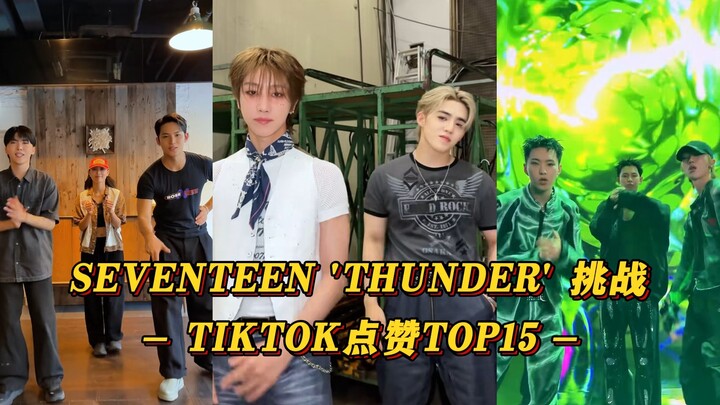 【SEVENTEEN】7个破百万！女豆志效助阵最高！师弟师妹都来！SEVENTEEN 'Thunder' 挑战TIKTOK点赞TOP15！