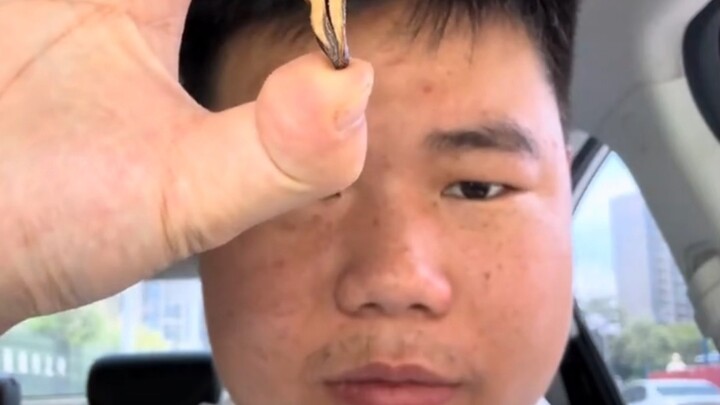 Ice Wolf Sage’s Sharp Review: Kudzu Can’t Replace Ice Wolf. Kudzu is a Total Flop—If You Haven’t Tri