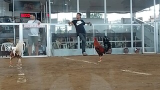 fastest!