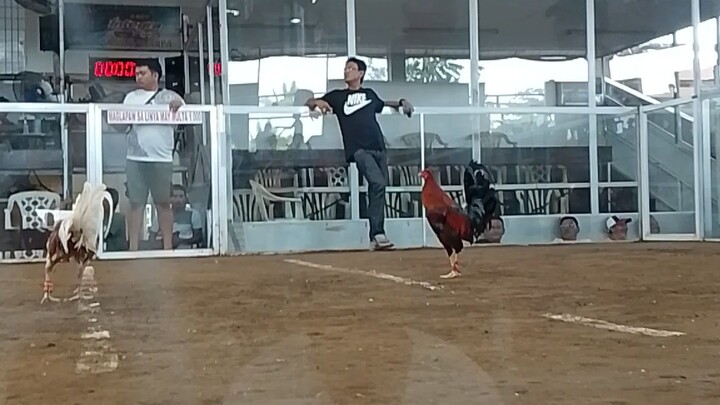 fastest!
