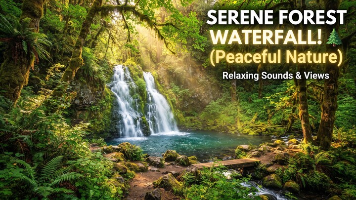 Relaxing Waterfall & Forest Sounds for Deep Study, Peace and Meditation