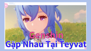 Gặp Nhau Tại Teyvat