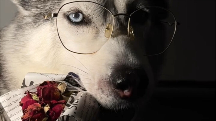 Cả nửa ngày rồi, hóa ra là bài tình ca dành tặng vợ