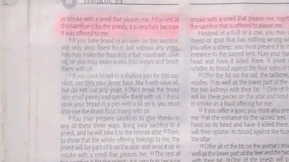 Daily Verse   Leviticus 2:4-10