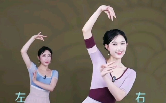 那年花开月正圆 韩婳零基础中国舞小舞段保姆级教程