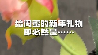 Ôi, bạn thân của bạn vẫn chưa chuẩn bị quà năm mới cho bạn à (đầu chó)