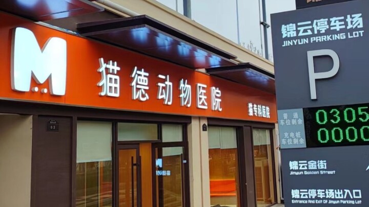 Giới thiệu với mọi người các thiết bị y tế tại Bệnh viện Thú y Mèo Đức – Chi nhánh Thành Trung