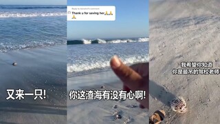 我们不过就是想把泡芙老师送回比奇堡 为什么会这么难!!!