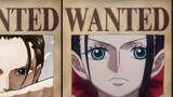 The new bounty for the Straw Hat Pirates after the Wonichi Chapter!