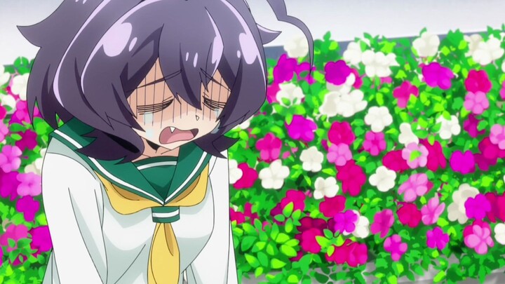 "Precious video of the early Maple Syrup Commander being bullied", cry for a minute, qwq sob~