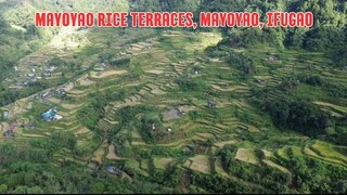 Tourist Spot! Mayoyao Rice Terraces, Mayoyao, Ifugao