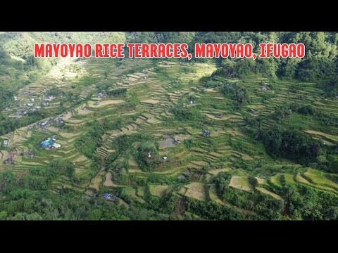 Tourist Spot! Mayoyao Rice Terraces, Mayoyao, Ifugao