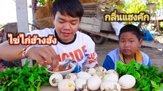 ไข่ไก่ฮ่างฮังหอมๆ ไข่ลูกไก่แซ่บๆ แกล้มผักแพวหอมๆ บรรยากาศทุ่งนา